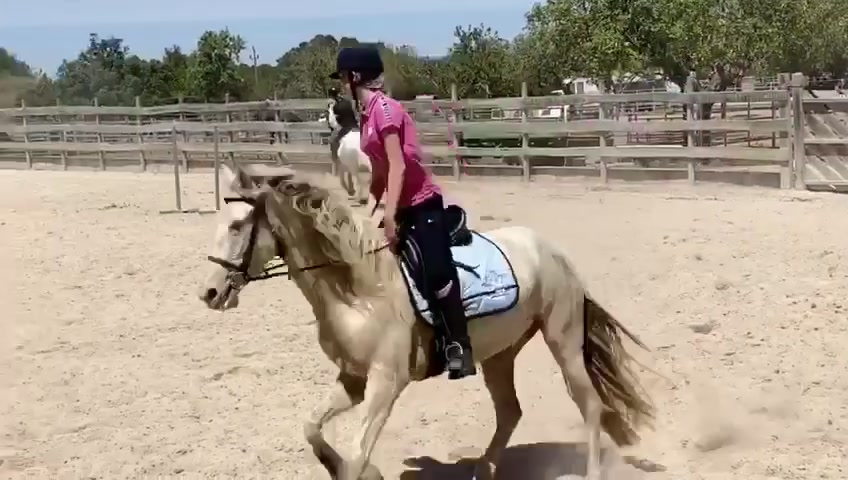 @🐴💎🥰