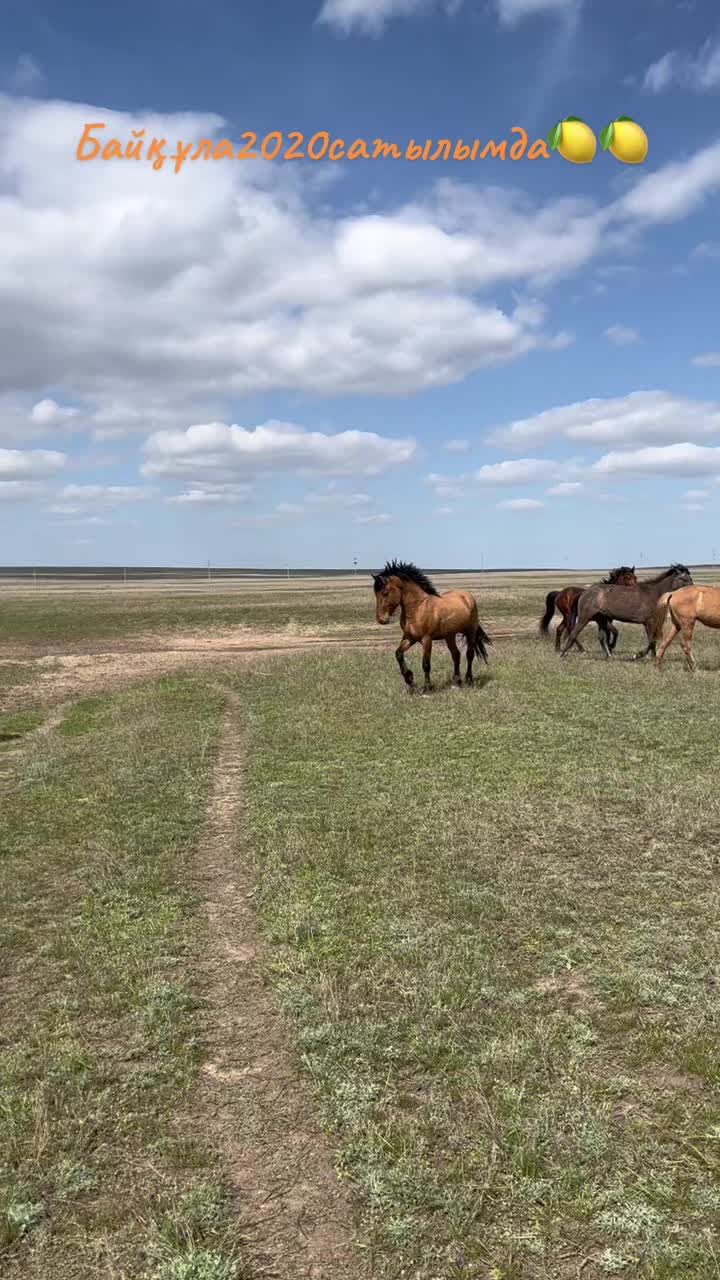 @Есенғали