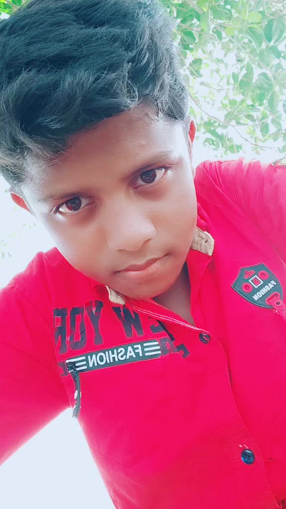 @free frie hero teja