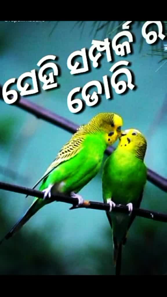 @KUMAR ARYA