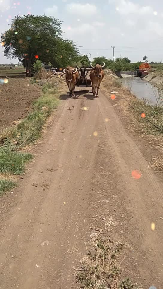 @Hardik Jadav