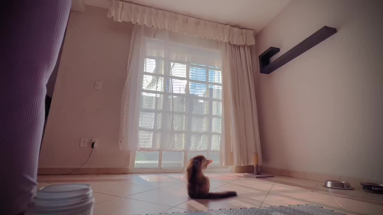 @Bonni3GG