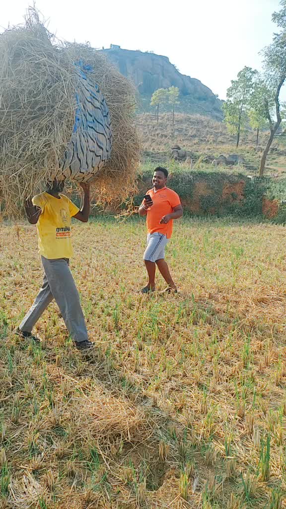 @bala jilla