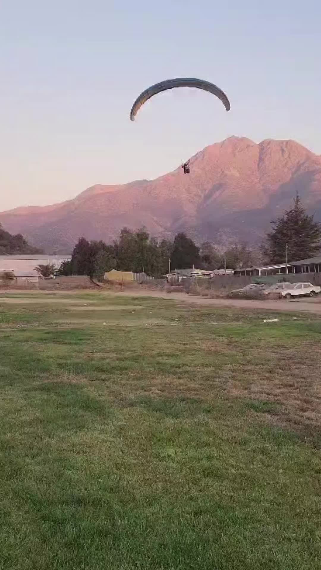 @Cynthia ✨〽️🌻🇨🇱