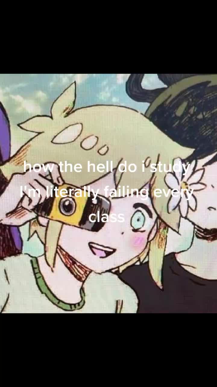 @(。◕o◕。)