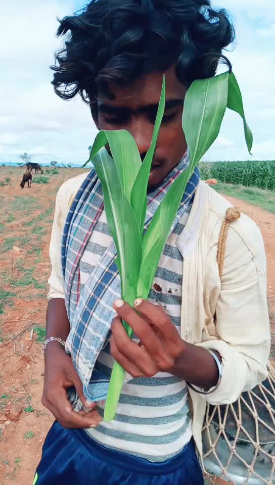 @ಅಪ್ಪು ಬಾಸ್ GS