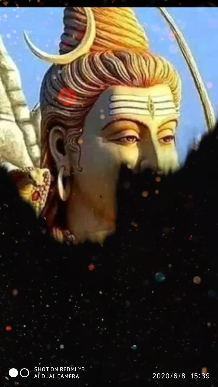 @user3516979019333