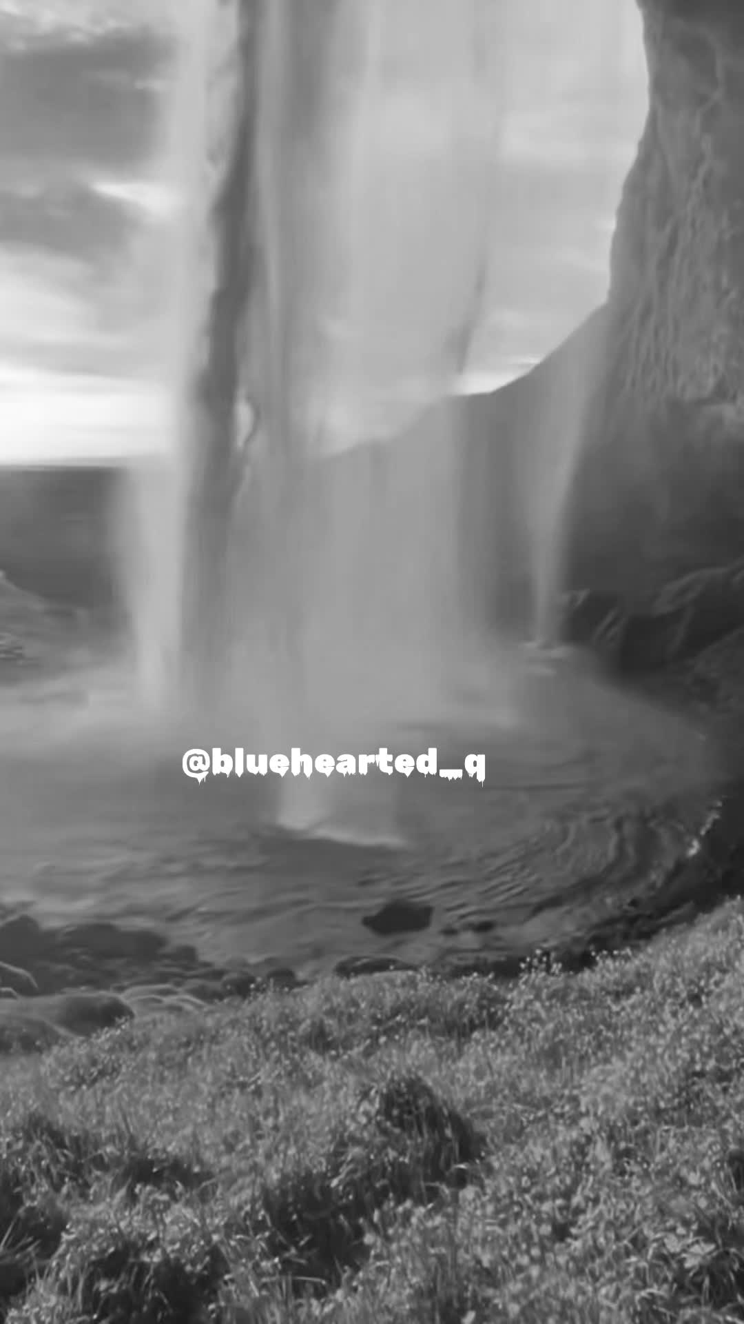 @bluehearted_q