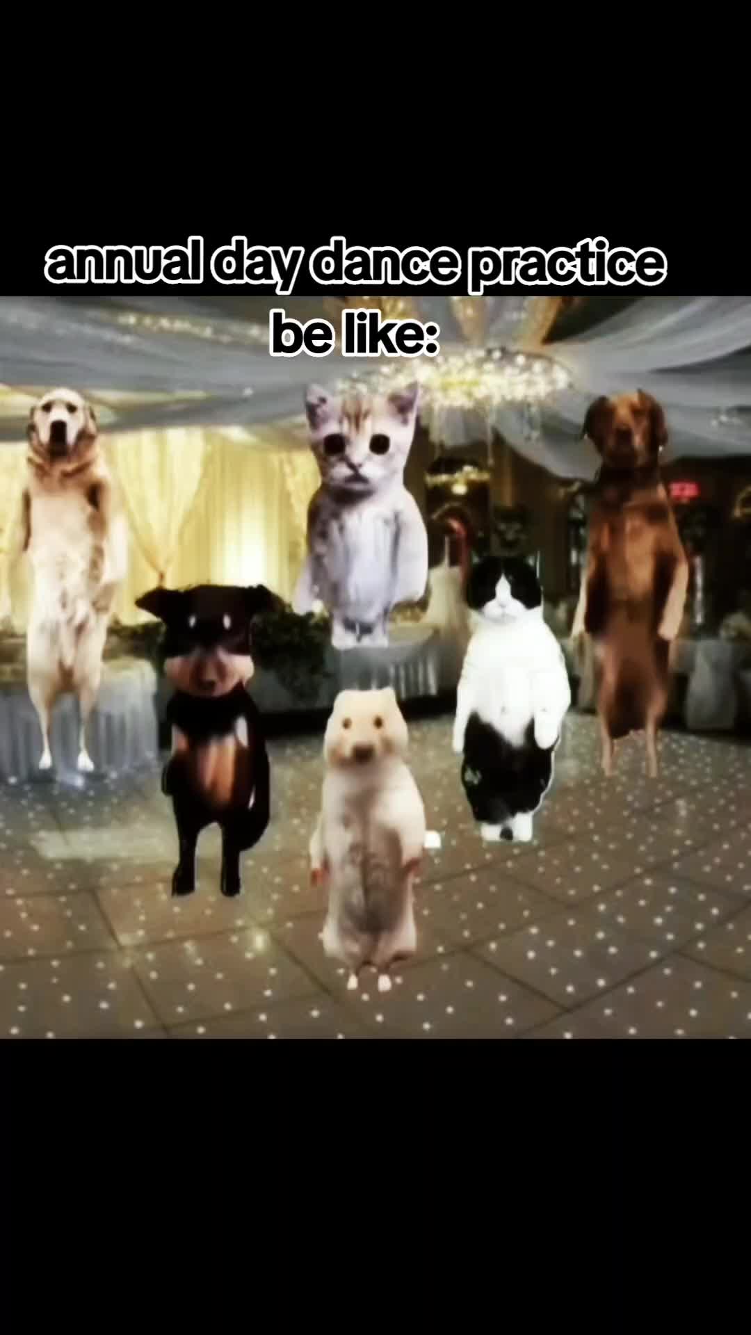 @mallufam
