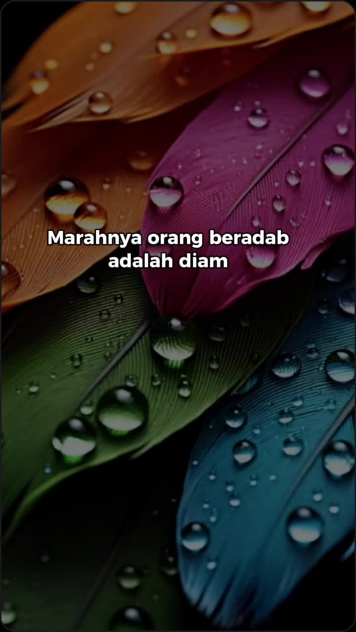 @TSya_Fadly