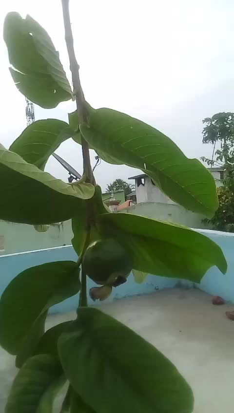 @yaswanth rockyy