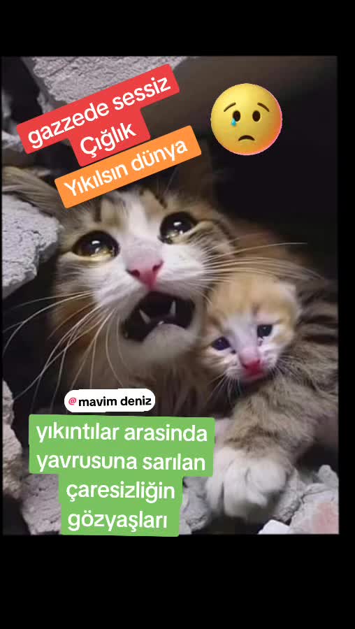 @Türkiyem