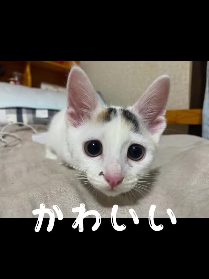 @ðïž