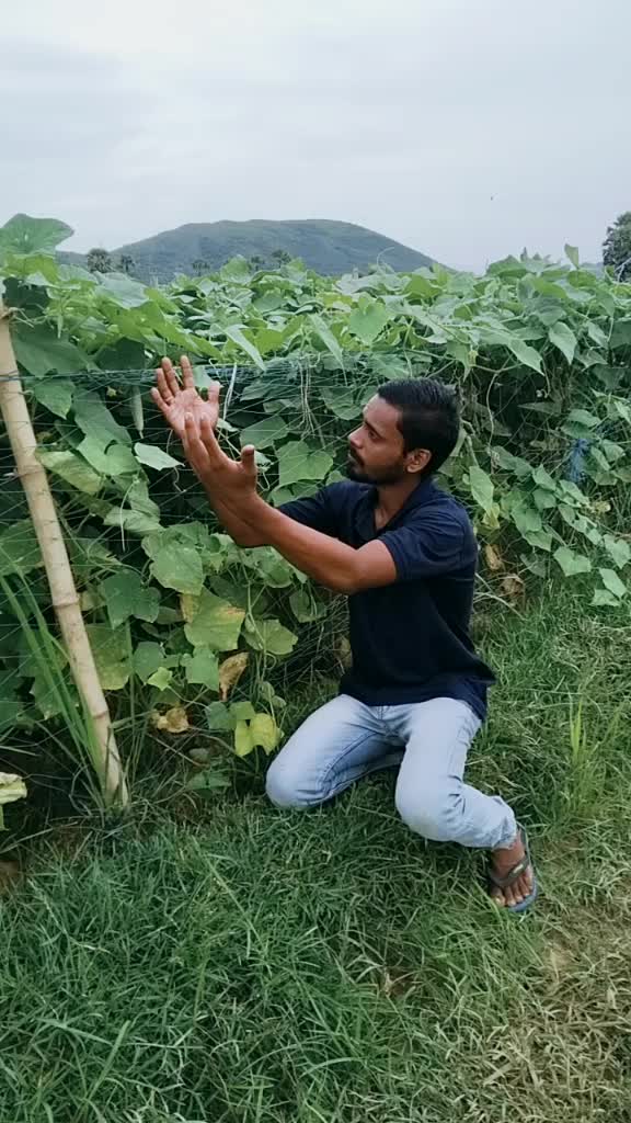 @Arjun Ghatuary Baena