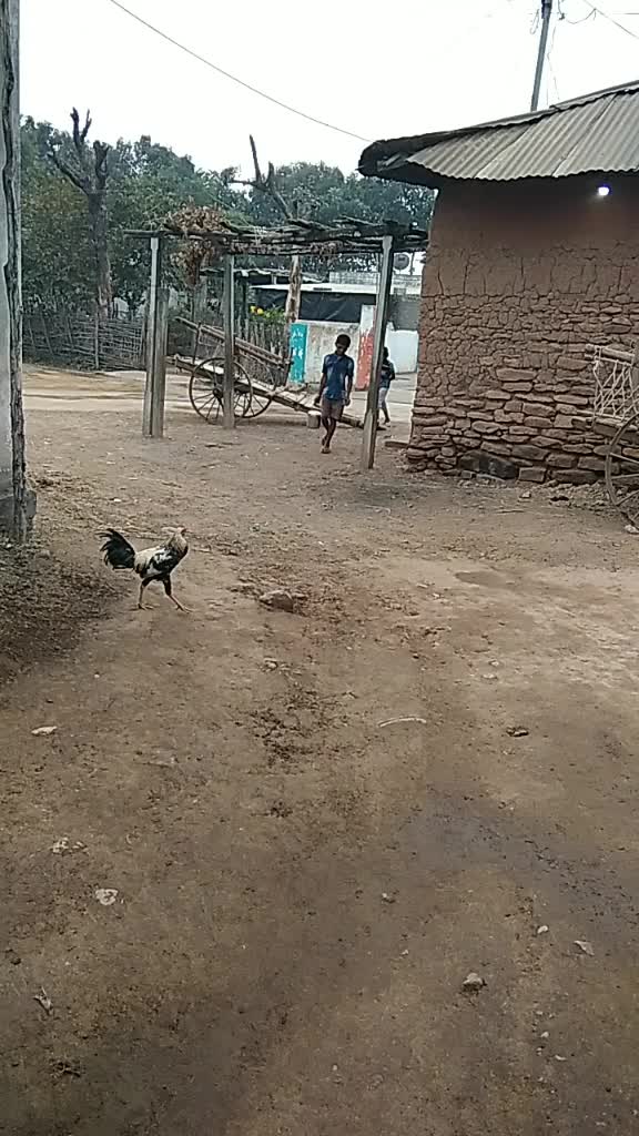 @sai komma