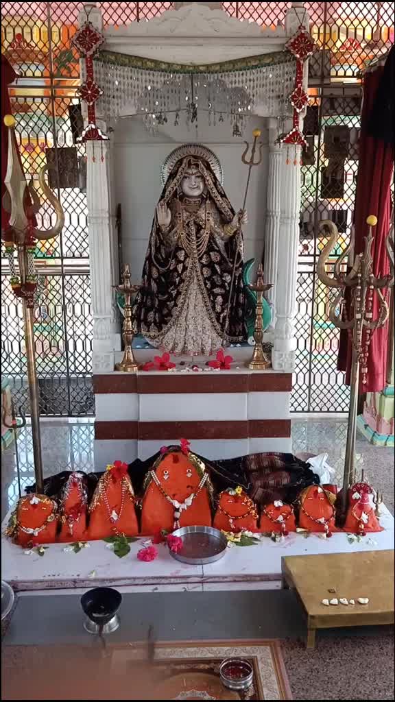 @digbhabharoli076
