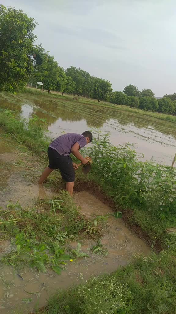 @T.Murali Krishn