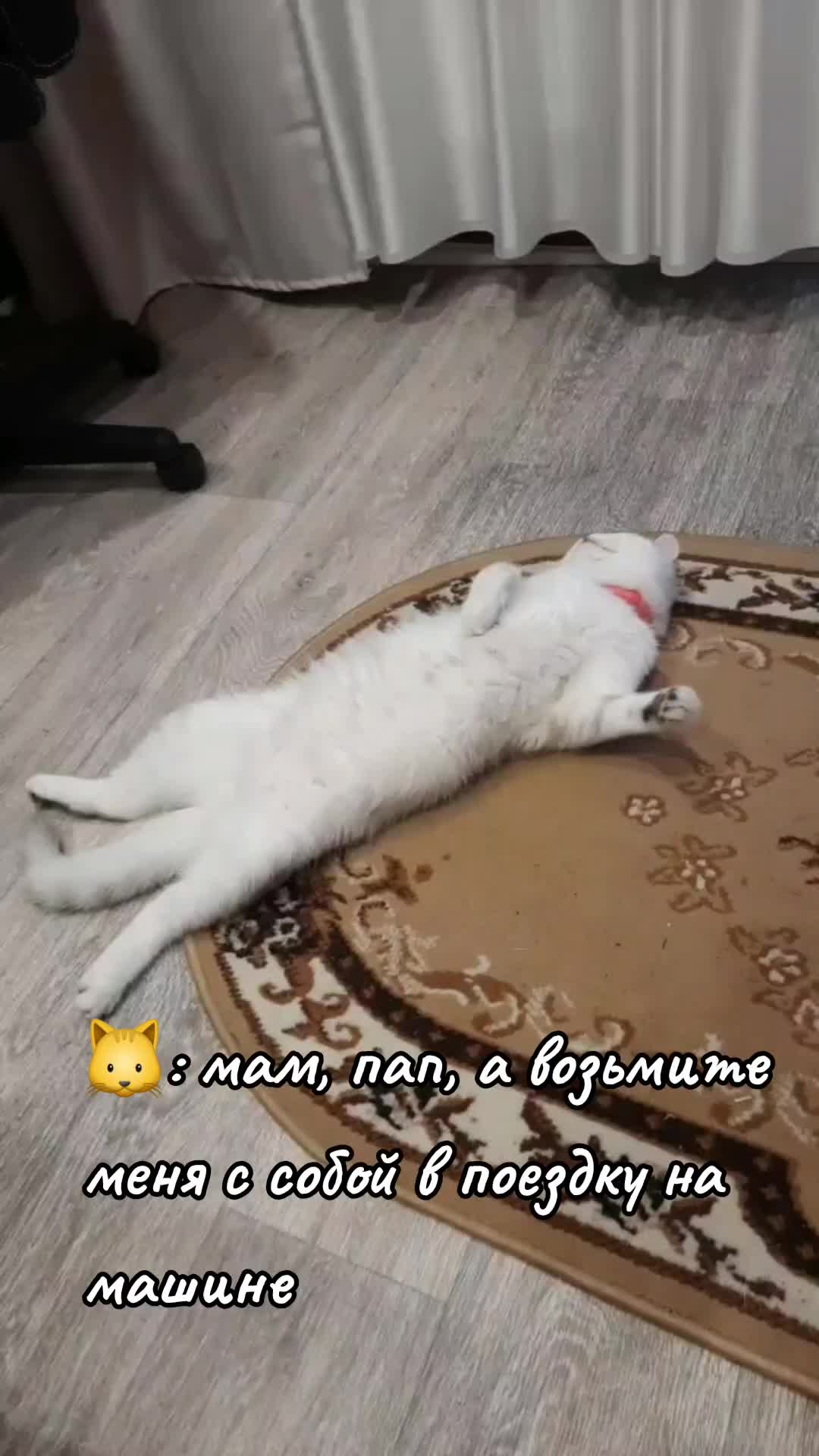 @Ангелина Плыткевич