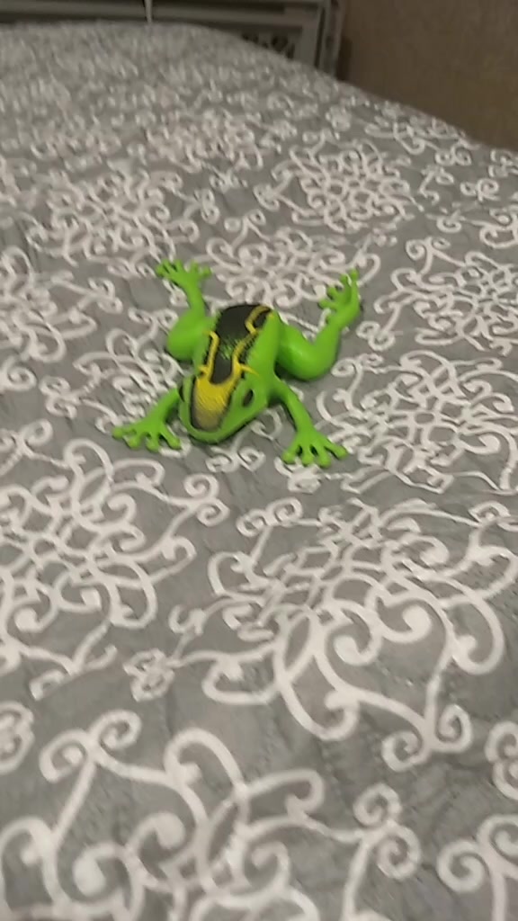 @🐸🐸🐸