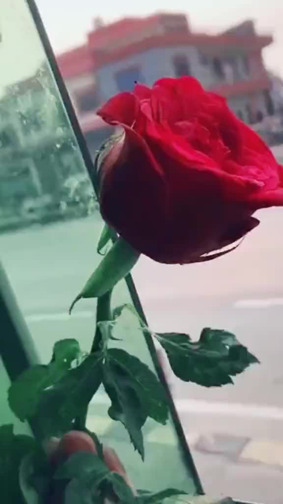 @Rahul Rajak