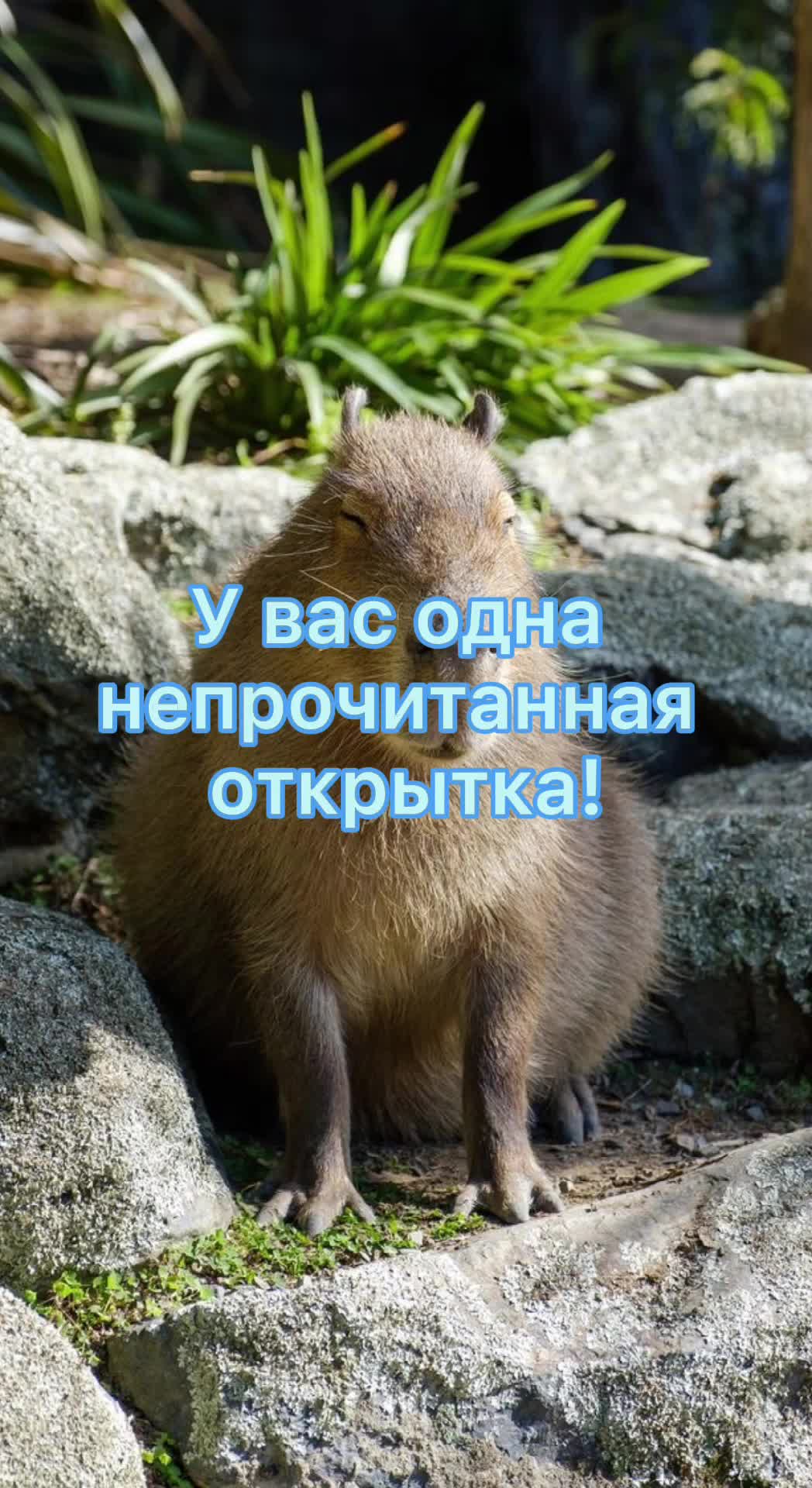 @GartonGatti