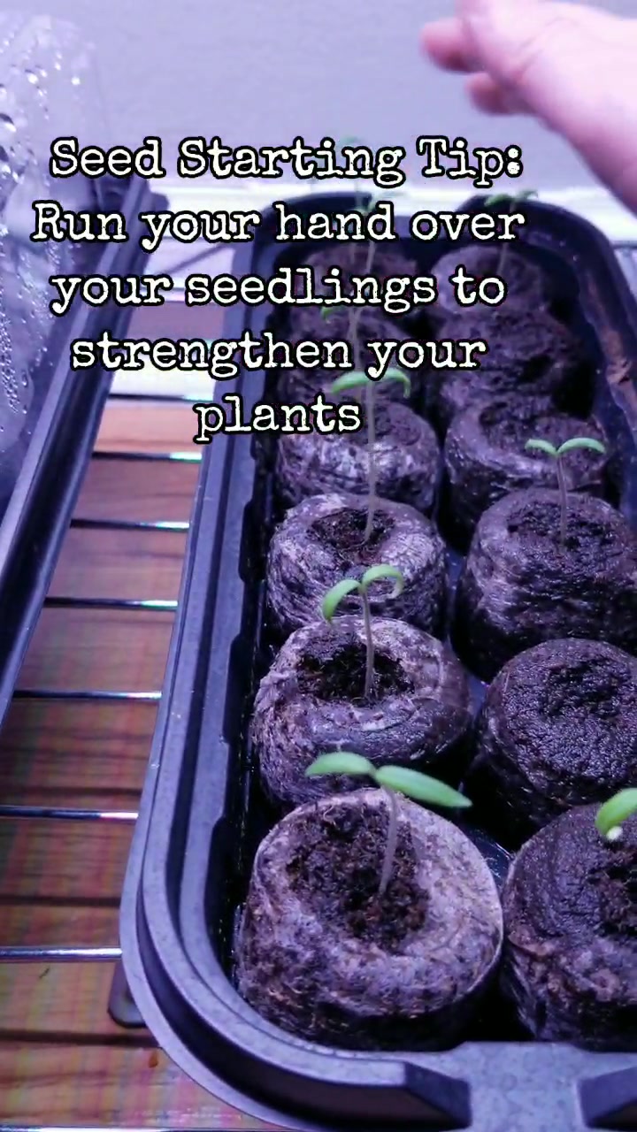 @Jenny