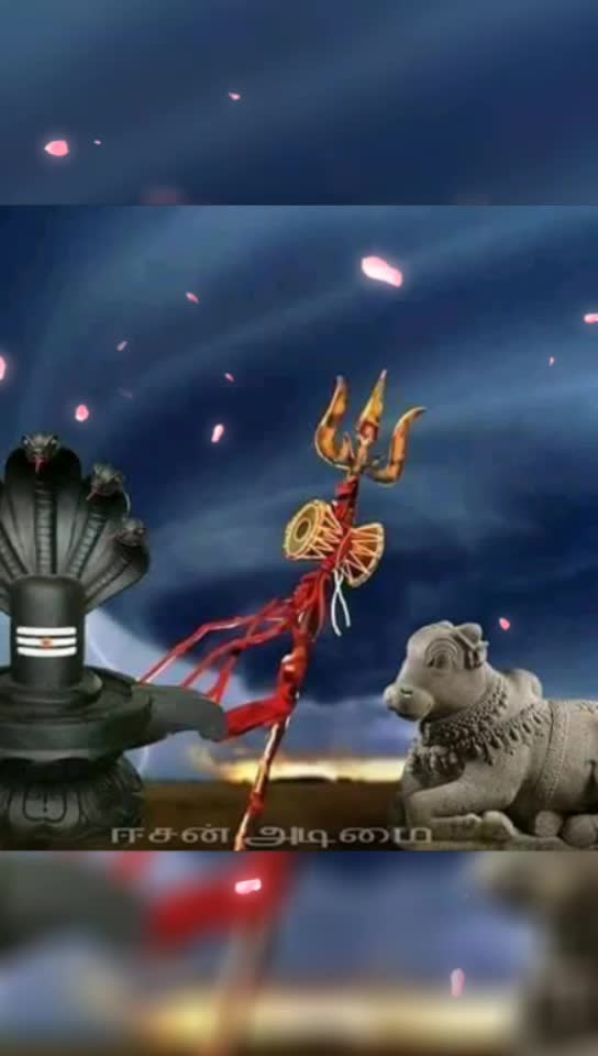@user53001516660