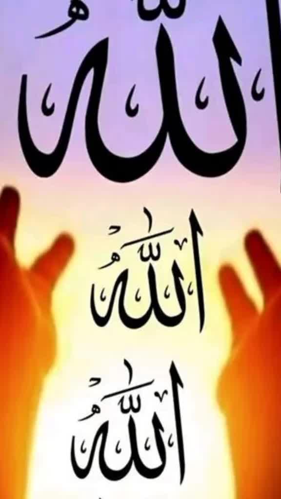 @Noor Aldeen391