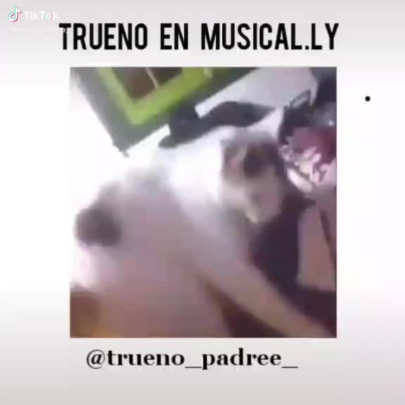 @👑Mateo_Palacios👑