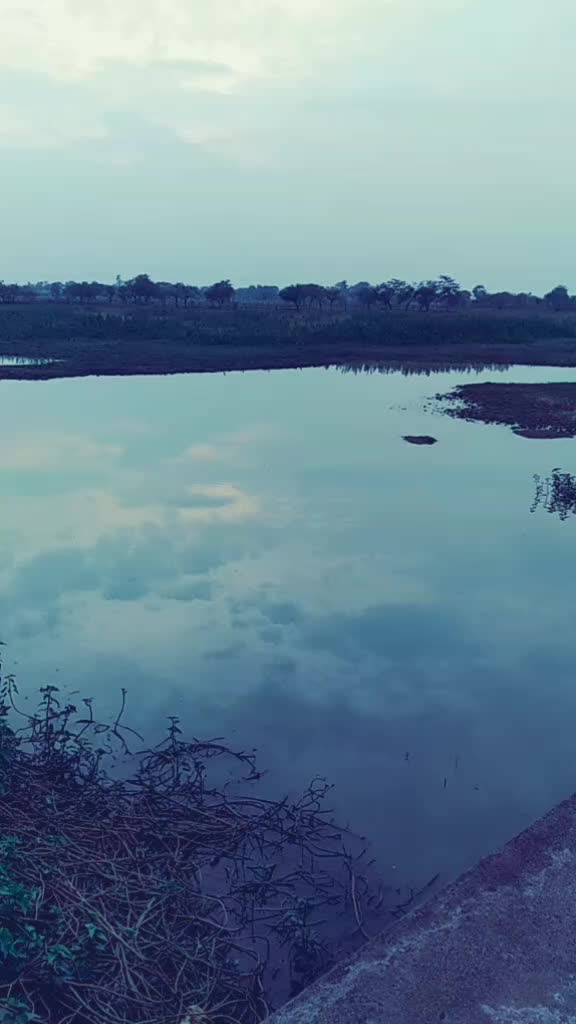 @Aman Jangde