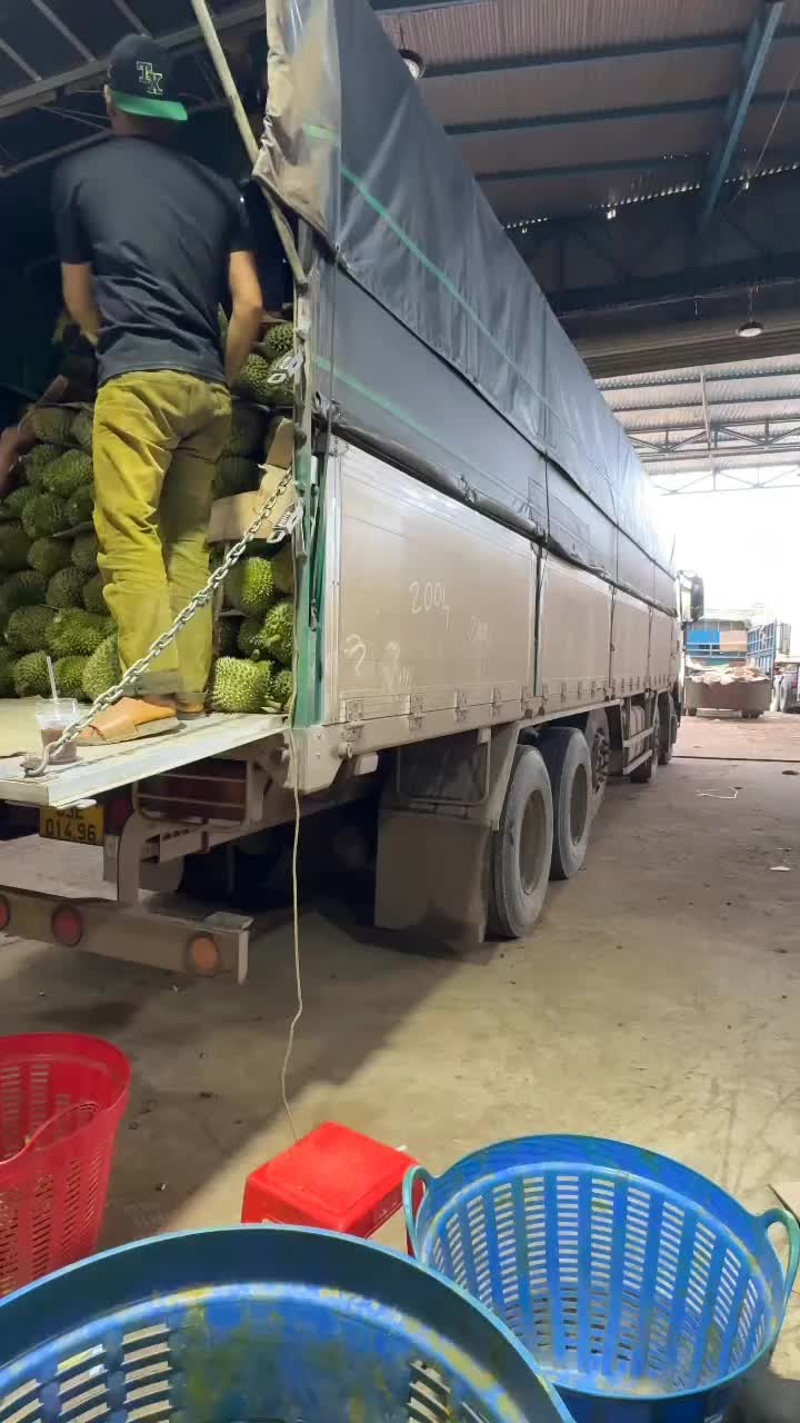 @Vinh Bùa