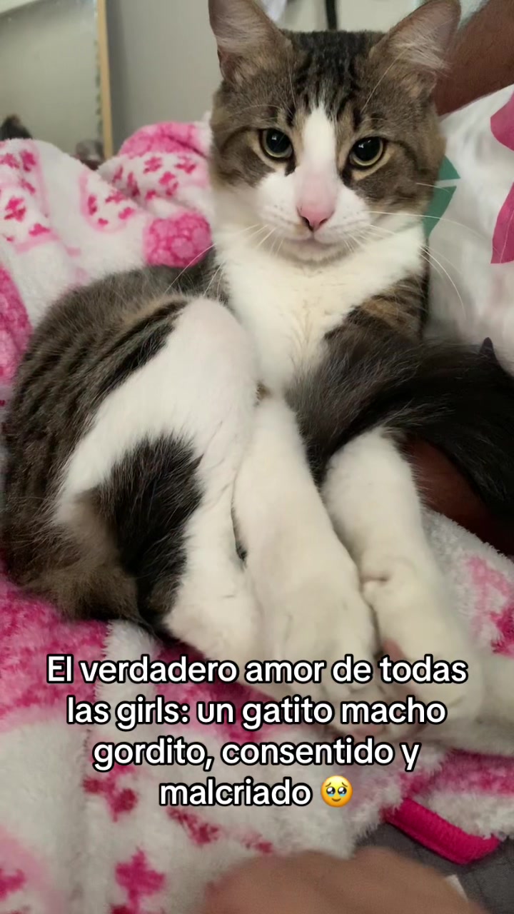 @Sam Macías🍓