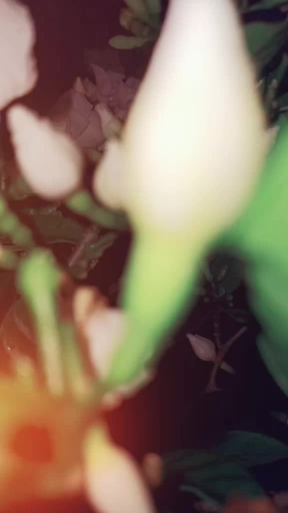 @suryapawar714