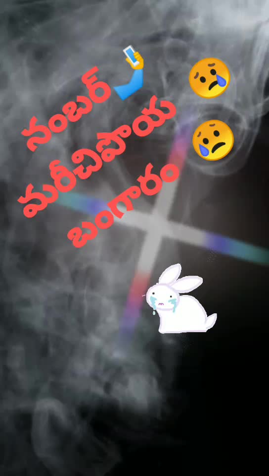 @Rowdy Ram
