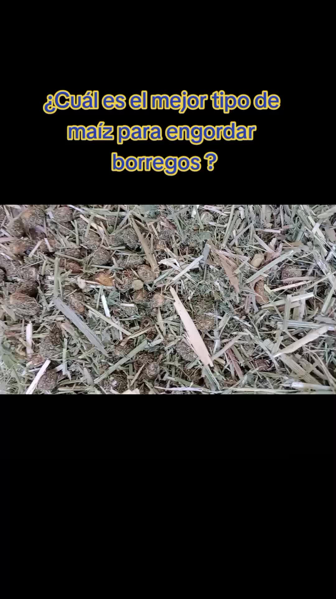 @ASAGESP