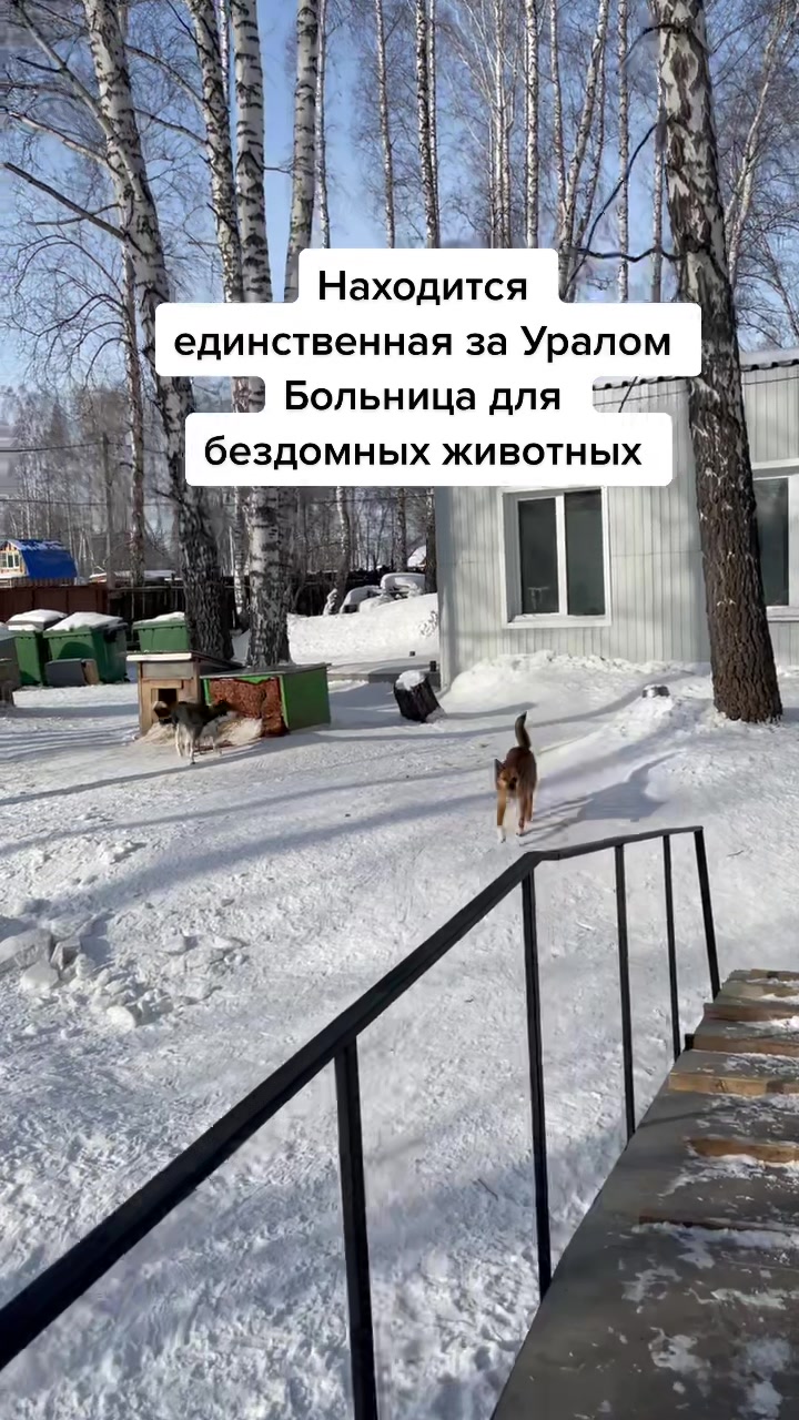 @Baranov_Vasiliy