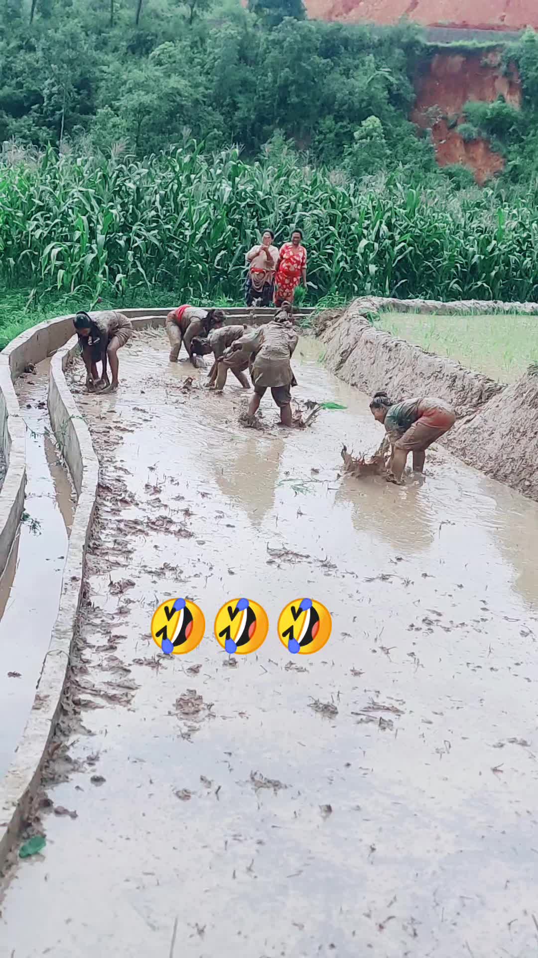 @Rai. Sushila ๐๐ RaiBibek