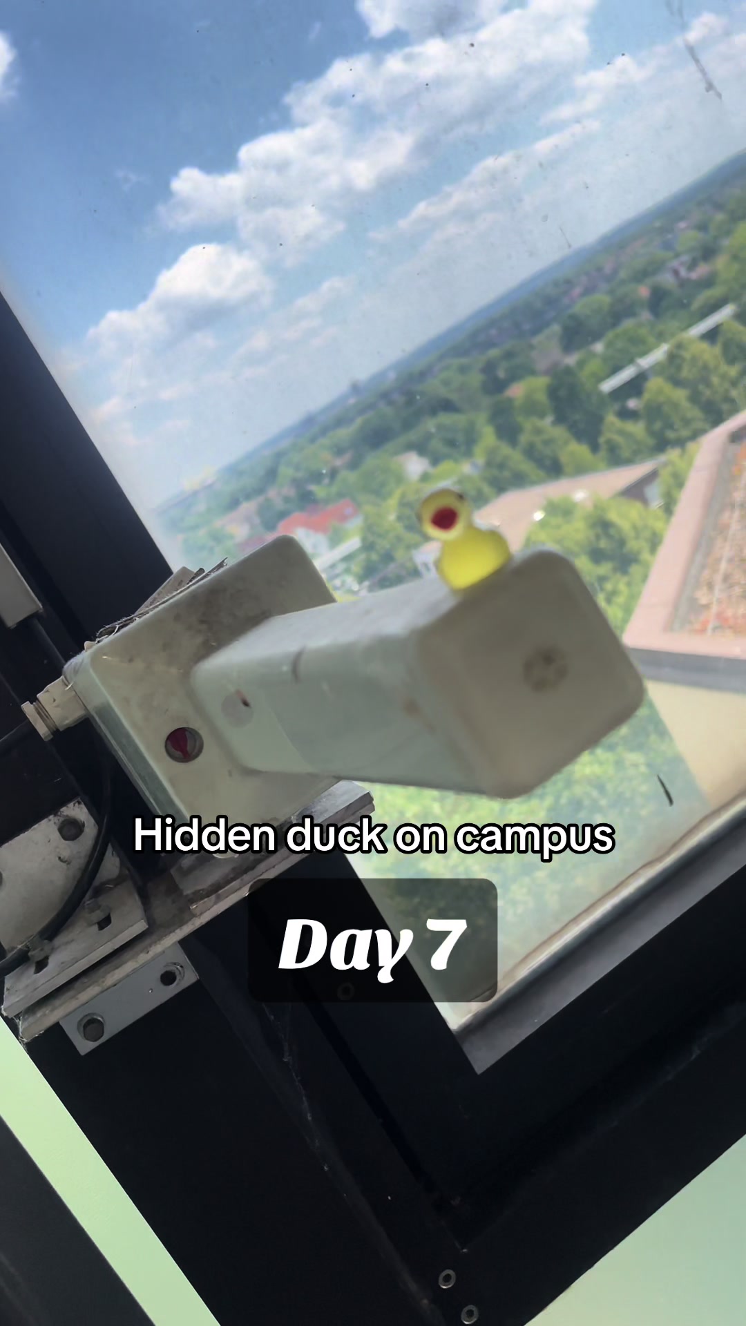 @duckseekdaily