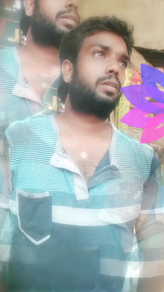 @pajarla.murari