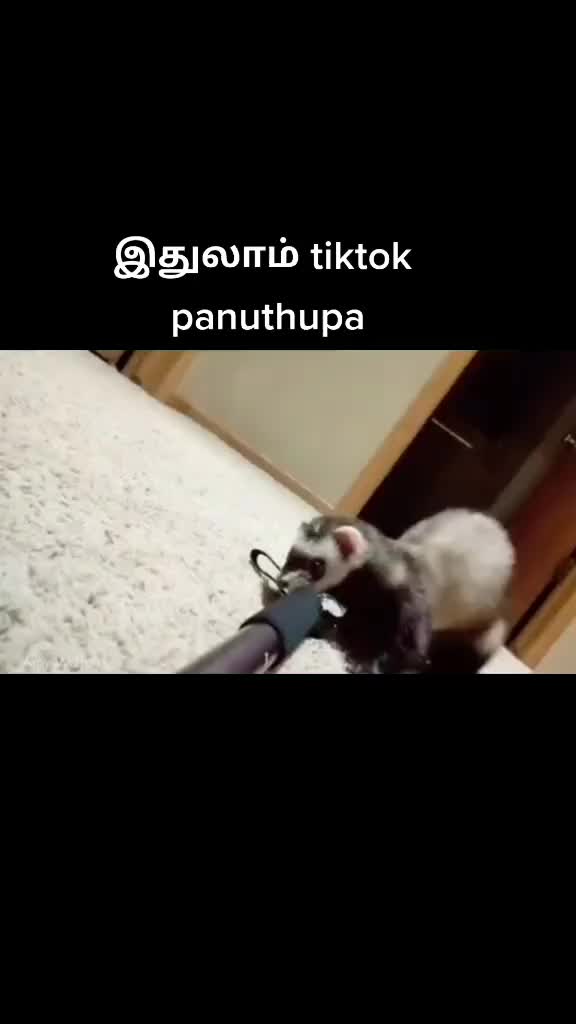 @Raja Rajan