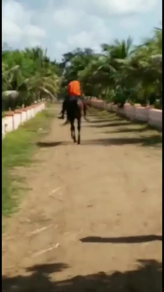 @narendrasinhji__1