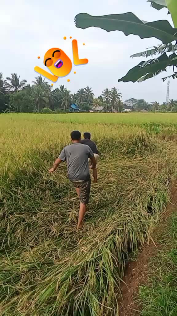 @Reizha