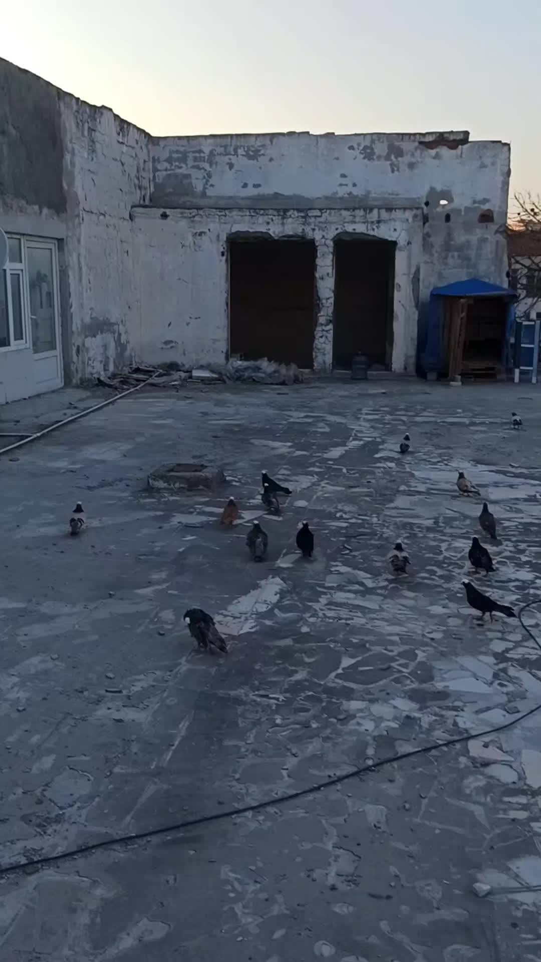 @Kadir Öz