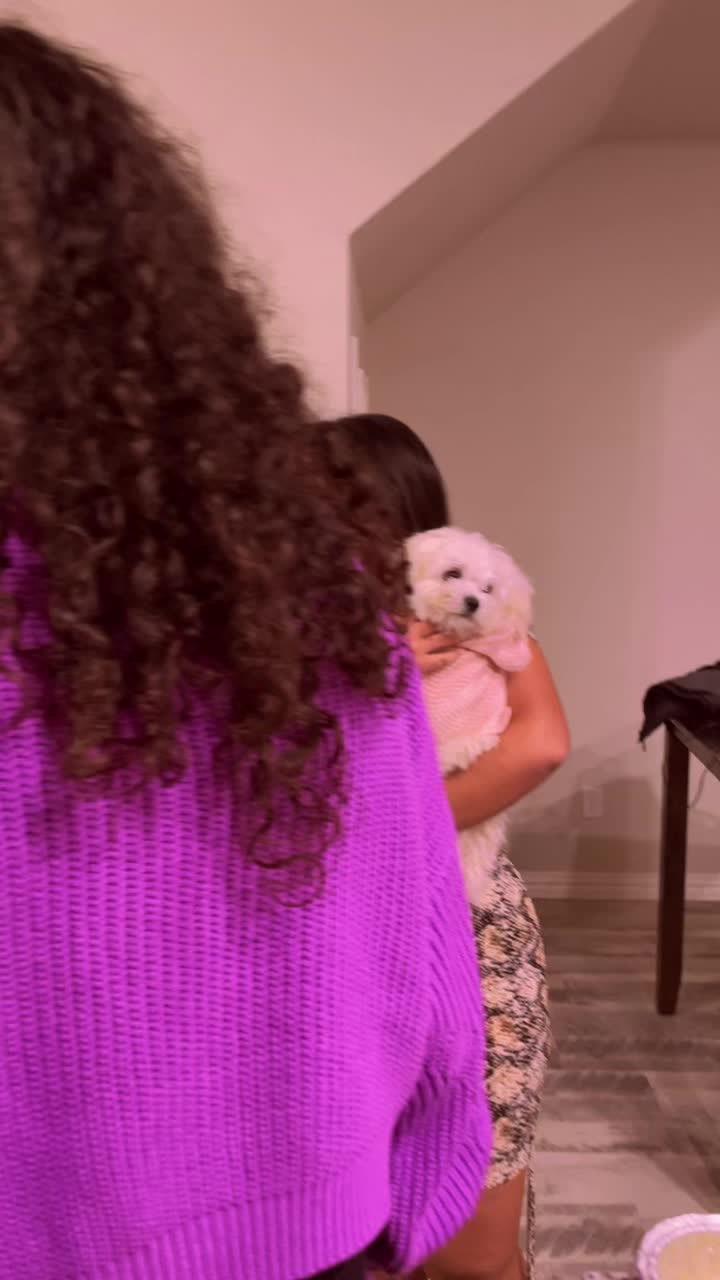 @🤎🧸