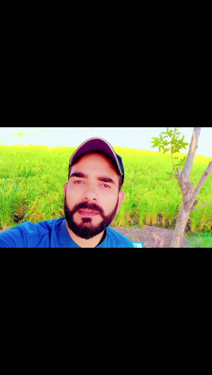 @zishan