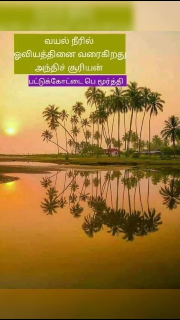 @Pattukkottai P Moort