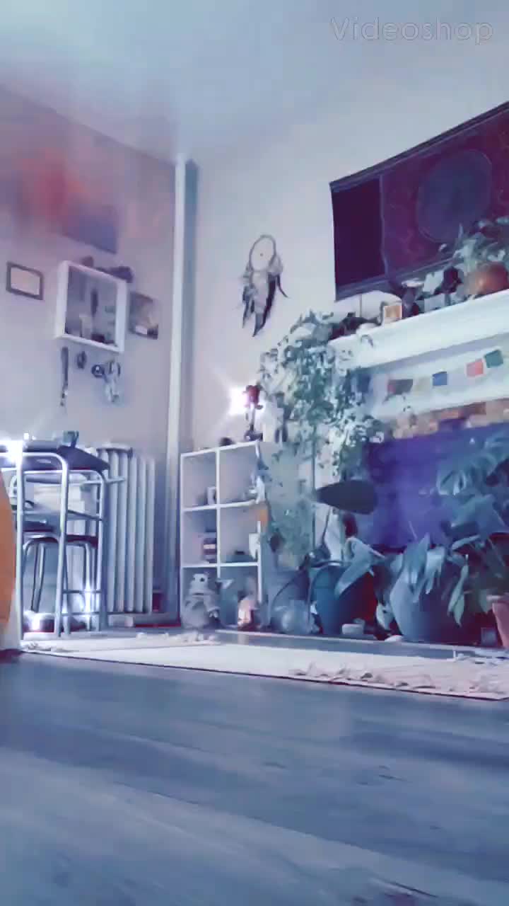 @honey.bee