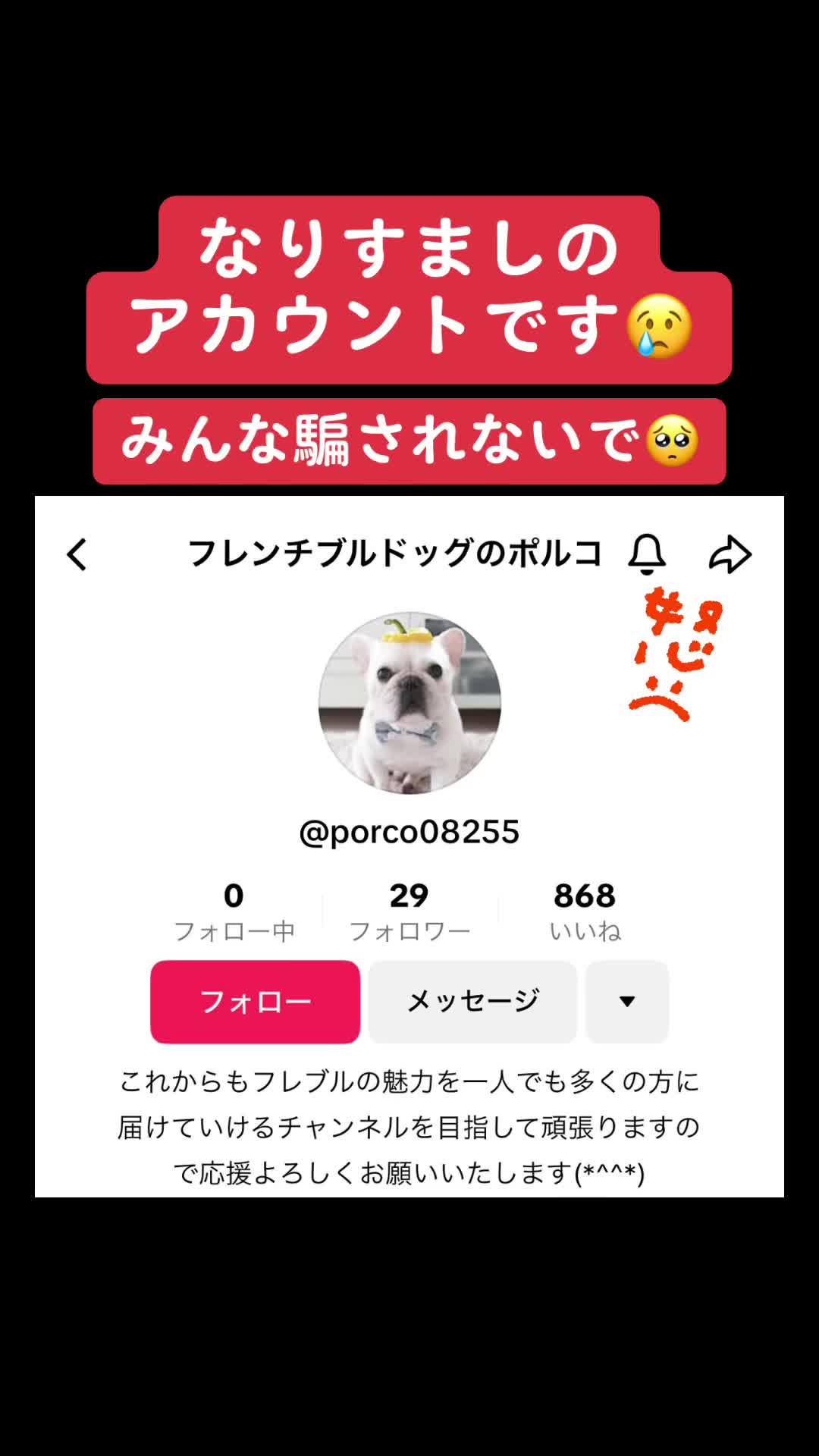@フレンチブルドッグのPorco(ポルコ)🐷