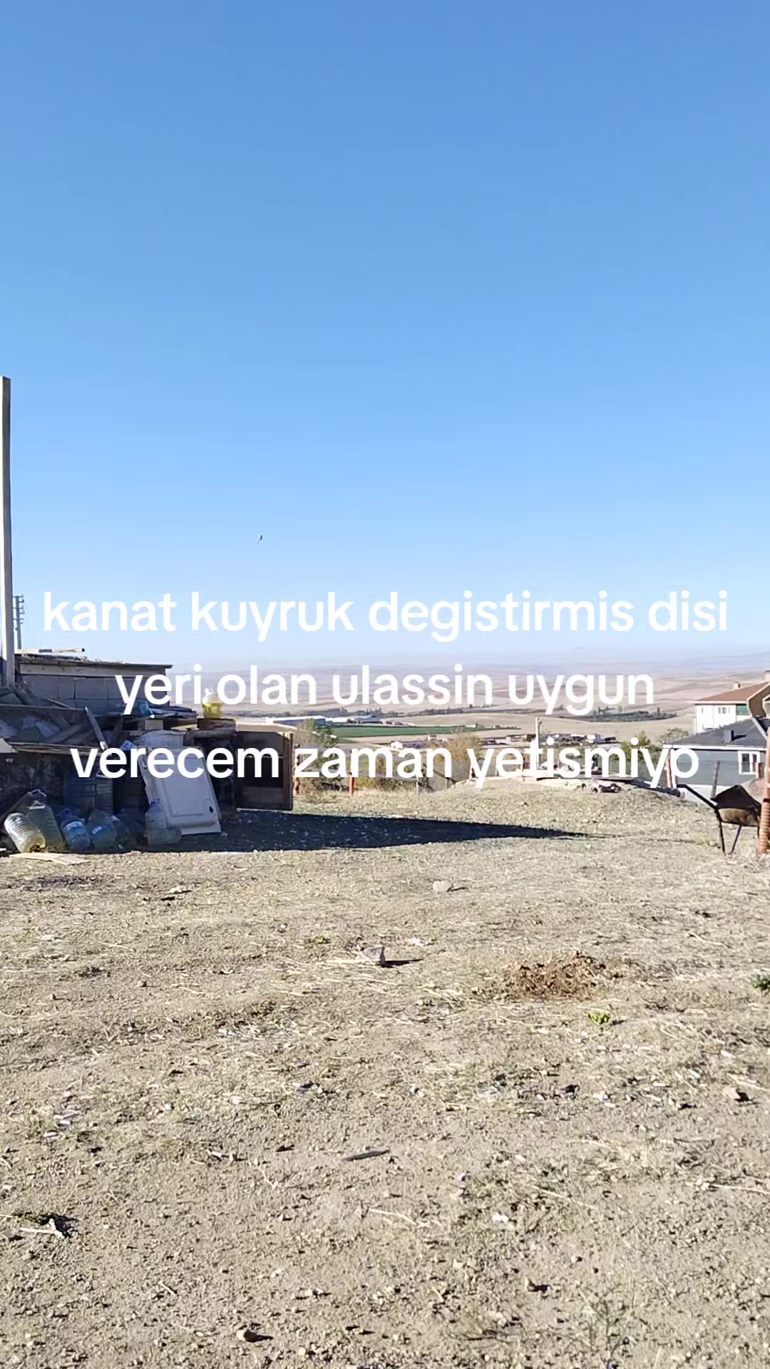 @🎲🎲oyunkusu.kirsehir40🎲🎲