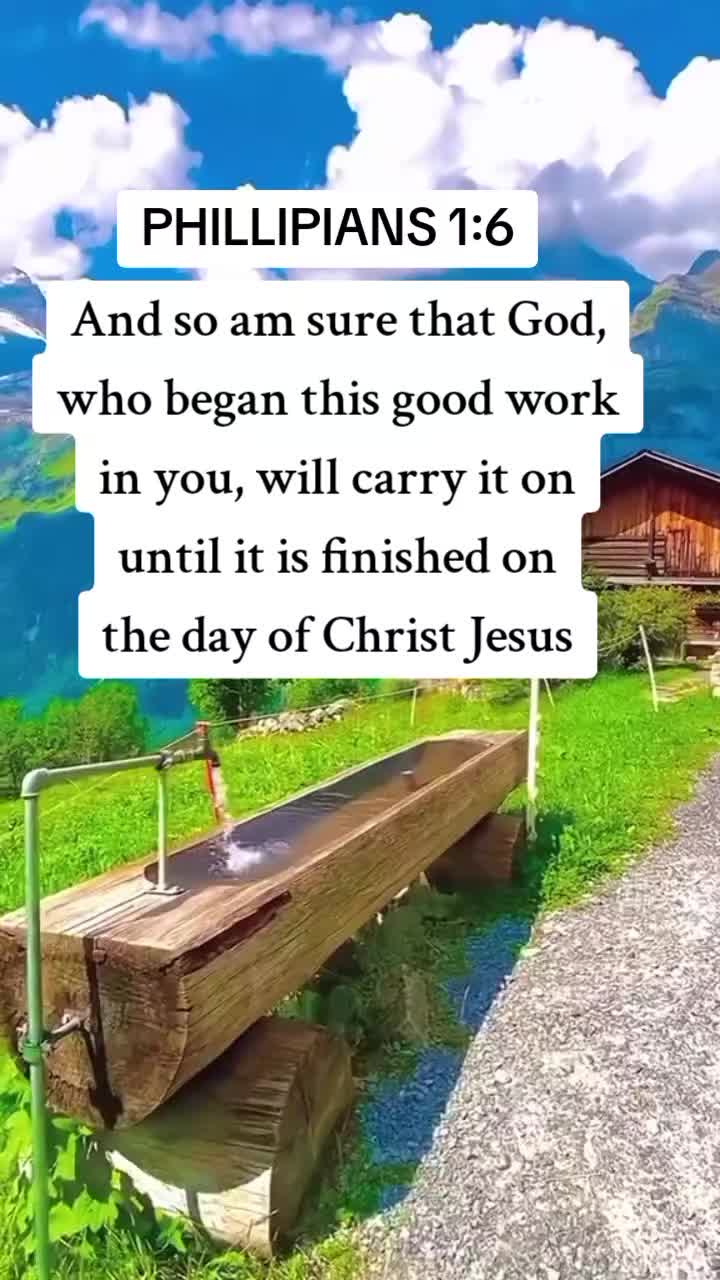 @tumwebazeglorious3